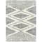 Livabliss Deluxe Shag DXS-2309 Machine Crafted Area Rug DXS2309-23 - alternate 1
